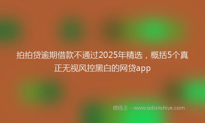拍拍贷逾期借款不通过2025年精选，概括5个真正无视风控黑白的网贷app