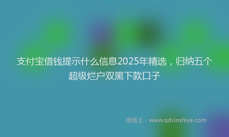 支付宝借钱提示什么信息2025年精选，归纳五个超级烂户双黑下款口子