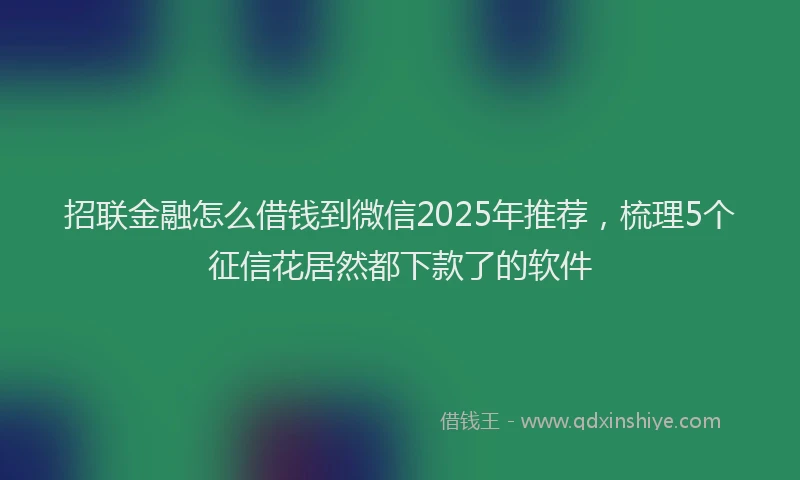 招联金融怎么借钱到微信2025年推荐，梳理5个征信花居然都下款了的软件