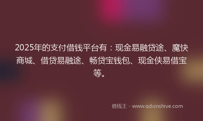 2025年的支付借钱平台有：现金易融贷途、魔快商城、借贷易融途、畅贷宝钱包、现金侠易借宝等。