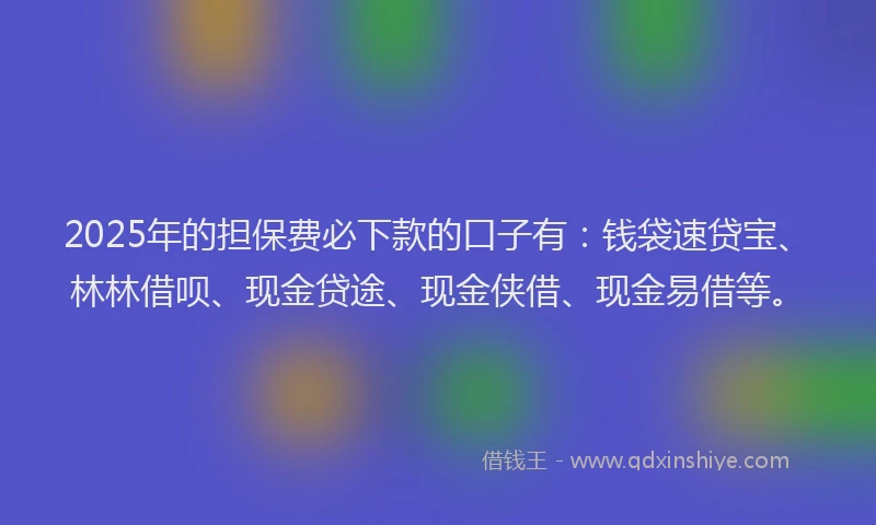 2025年的担保费必下款的口子有：钱袋速贷宝、林林借呗、现金贷途、现金侠借、现金易借等。
