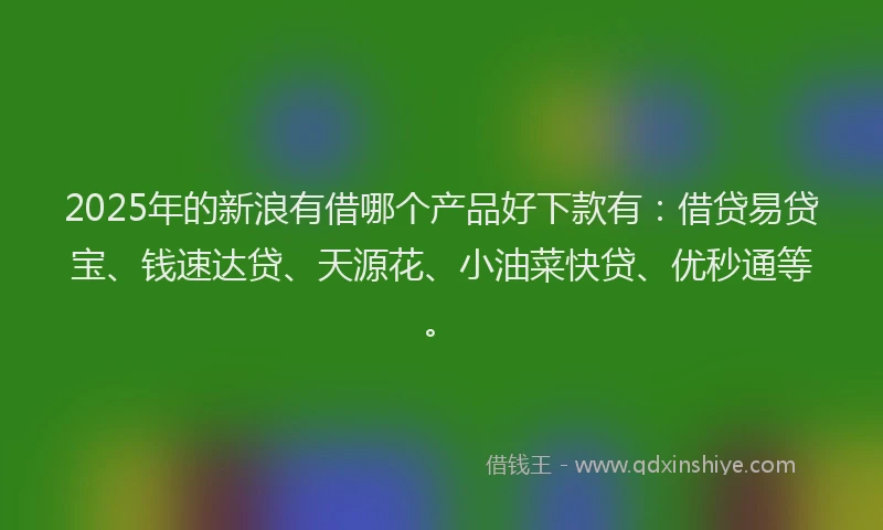 2025年的新浪有借哪个产品好下款有：借贷易贷宝、钱速达贷、天源花、小油菜快贷、优秒通等。