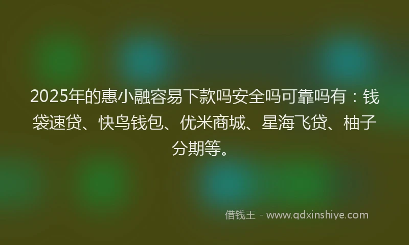 2025年的惠小融容易下款吗安全吗可靠吗有：钱袋速贷、快鸟钱包、优米商城、星海飞贷、柚子分期等。