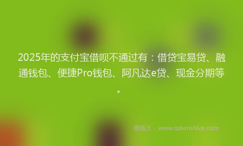 2025年的支付宝借呗不通过有：借贷宝易贷、融通钱包、便捷Pro钱包、阿凡达e贷、现金分期等。