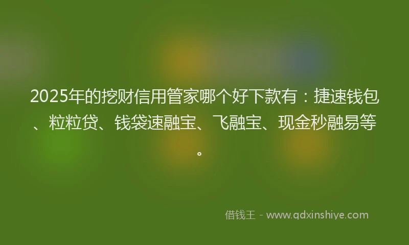 2025年的挖财信用管家哪个好下款有：捷速钱包、粒粒贷、钱袋速融宝、飞融宝、现金秒融易等。