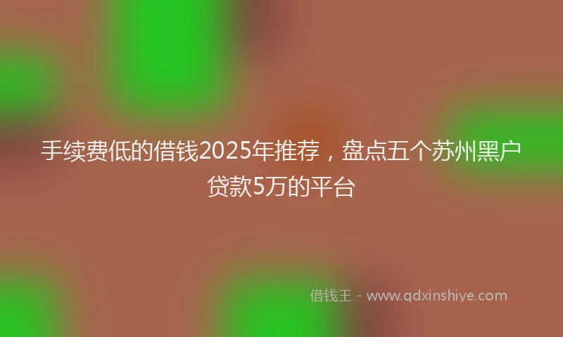 手续费低的借钱2025年推荐，盘点五个苏州黑户贷款5万的平台