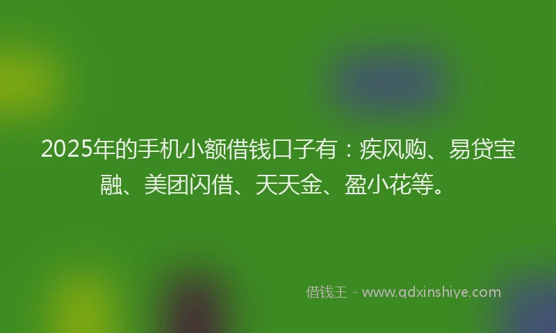 2025年的手机小额借钱口子有：疾风购、易贷宝融、美团闪借、天天金、盈小花等。