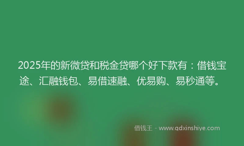 2025年的新微贷和税金贷哪个好下款有：借钱宝途、汇融钱包、易借速融、优易购、易秒通等。