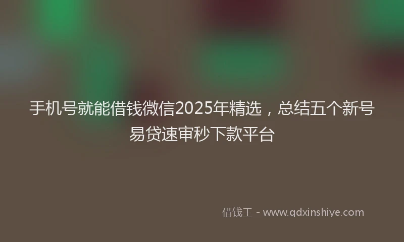 手机号就能借钱微信2025年精选，总结五个新号易贷速审秒下款平台