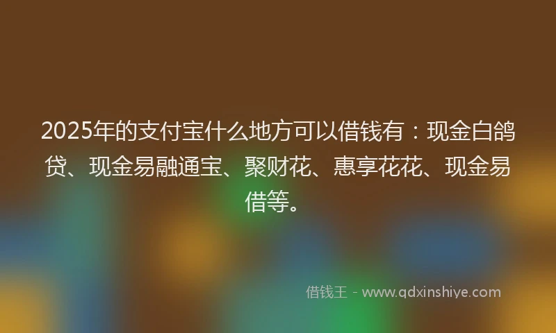 2025年的支付宝什么地方可以借钱有：现金白鸽贷、现金易融通宝、聚财花、惠享花花、现金易借等。