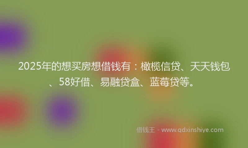 2025年的想买房想借钱有：橄榄信贷、天天钱包、58好借、易融贷盒、蓝莓贷等。