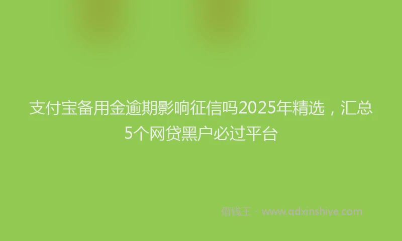 支付宝备用金逾期影响征信吗2025年精选，汇总5个网贷黑户必过平台