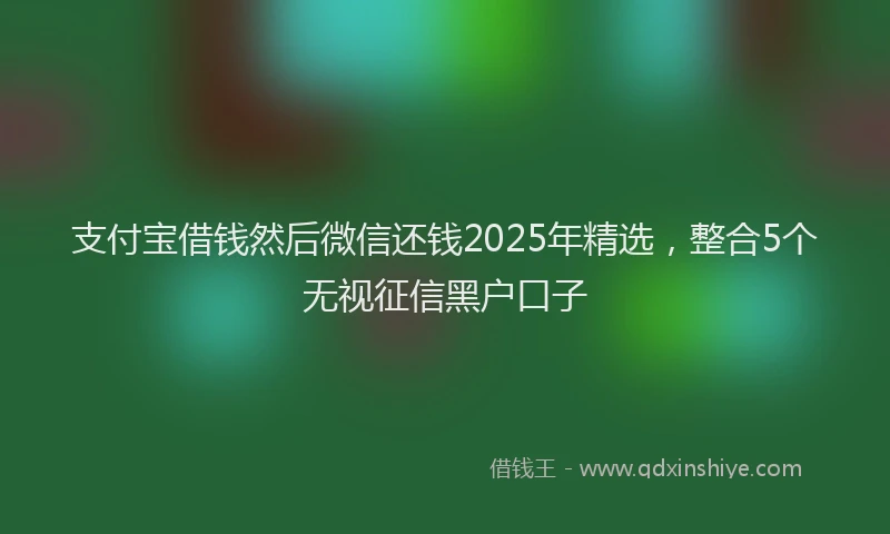 支付宝借钱然后微信还钱2025年精选，整合5个无视征信黑户口子
