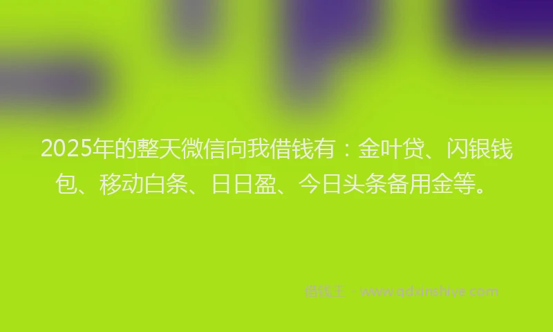 2025年的整天微信向我借钱有：金叶贷、闪银钱包、移动白条、日日盈、今日头条备用金等。
