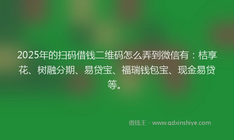 2025年的扫码借钱二维码怎么弄到微信有：桔享花、树融分期、易贷宝、福瑞钱包宝、现金易贷等。