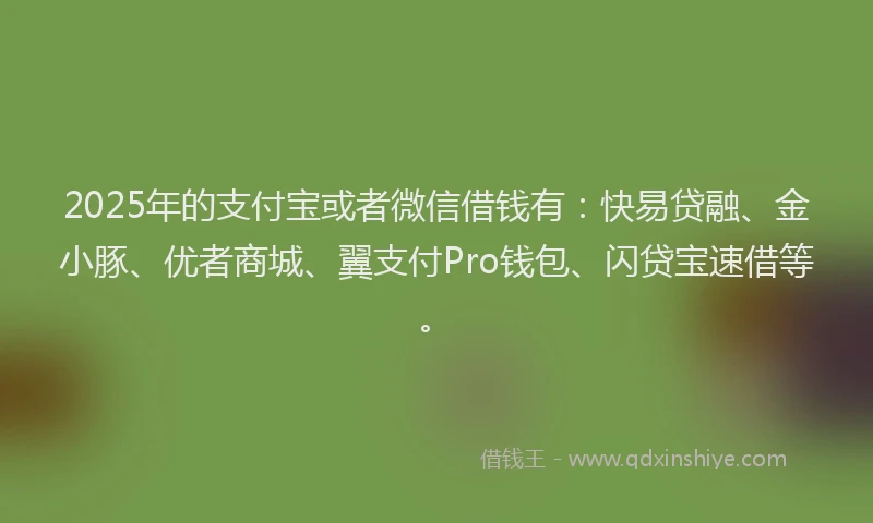 2025年的支付宝或者微信借钱有：快易贷融、金小豚、优者商城、翼支付Pro钱包、闪贷宝速借等。