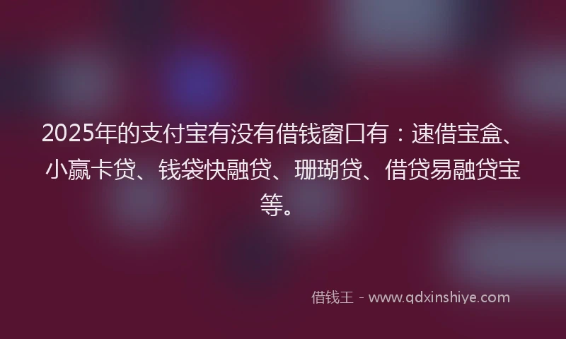 2025年的支付宝有没有借钱窗口有：速借宝盒、小赢卡贷、钱袋快融贷、珊瑚贷、借贷易融贷宝等。