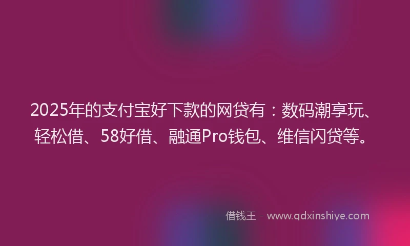 2025年的支付宝好下款的网贷有：数码潮享玩、轻松借、58好借、融通Pro钱包、维信闪贷等。