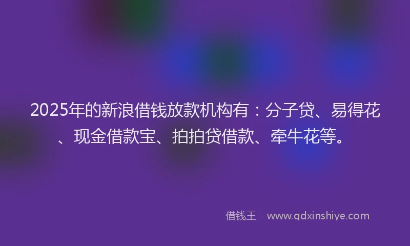 2025年的新浪借钱放款机构有：分子贷、易得花、现金借款宝、拍拍贷借款、牵牛花等。