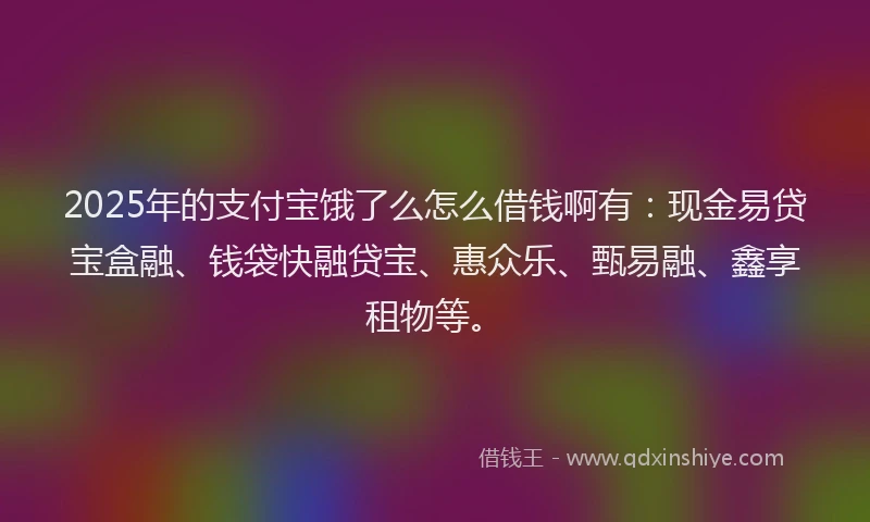 2025年的支付宝饿了么怎么借钱啊有：现金易贷宝盒融、钱袋快融贷宝、惠众乐、甄易融、鑫享租物等。