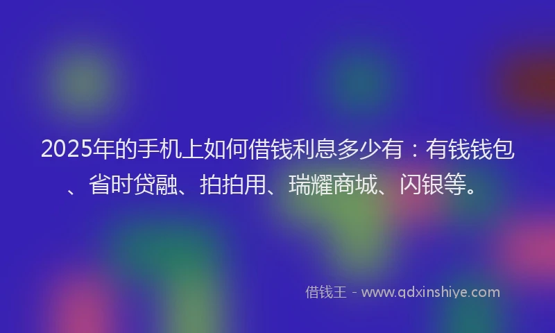 2025年的手机上如何借钱利息多少有：有钱钱包、省时贷融、拍拍用、瑞耀商城、闪银等。