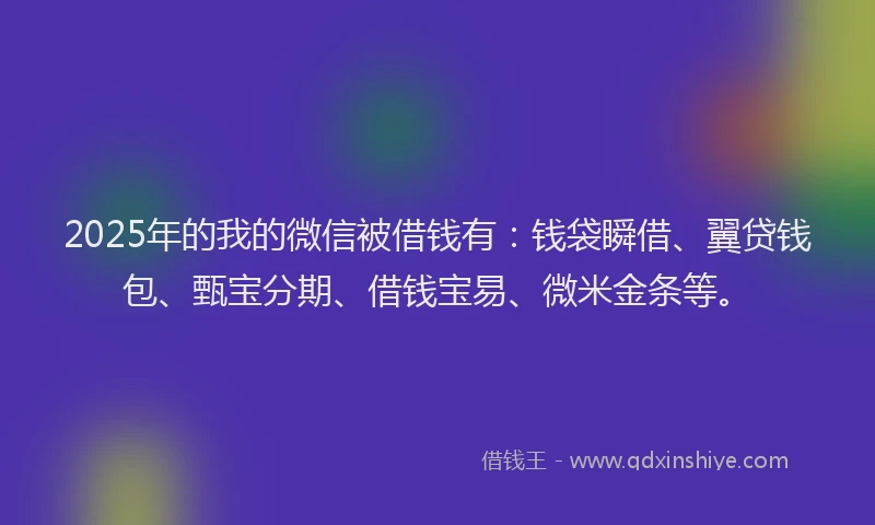 2025年的我的微信被借钱有：钱袋瞬借、翼贷钱包、甄宝分期、借钱宝易、微米金条等。