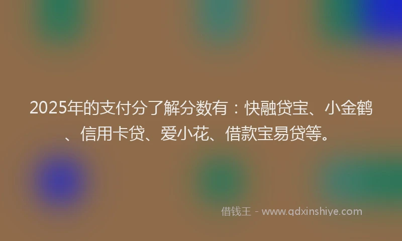 2025年的支付分了解分数有：快融贷宝、小金鹤、信用卡贷、爱小花、借款宝易贷等。