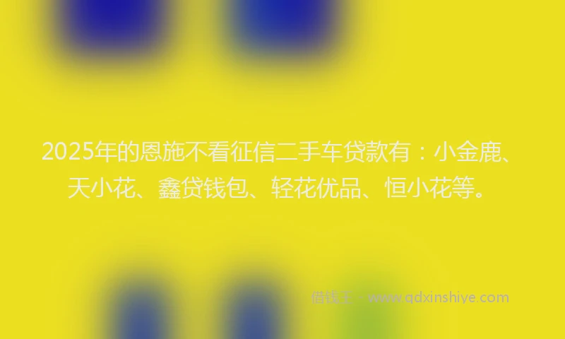 2025年的恩施不看征信二手车贷款有：小金鹿、天小花、鑫贷钱包、轻花优品、恒小花等。