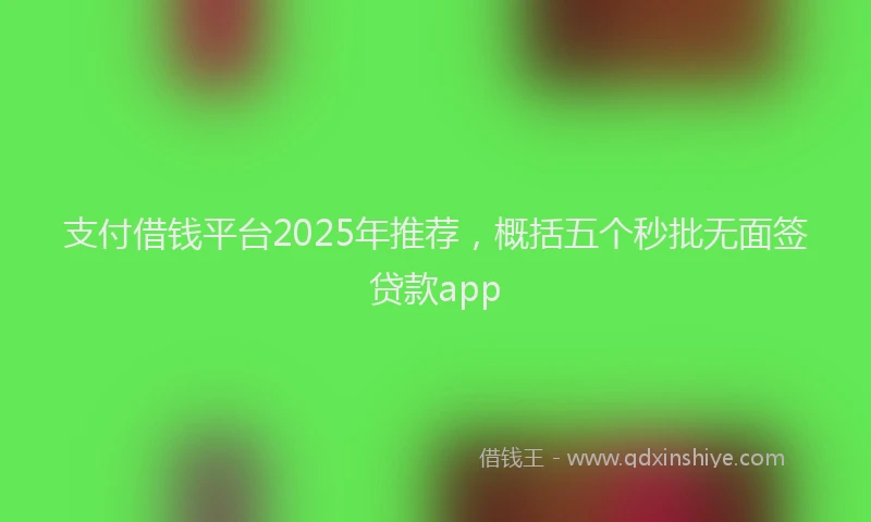 支付借钱平台2025年推荐，概括五个秒批无面签贷款app