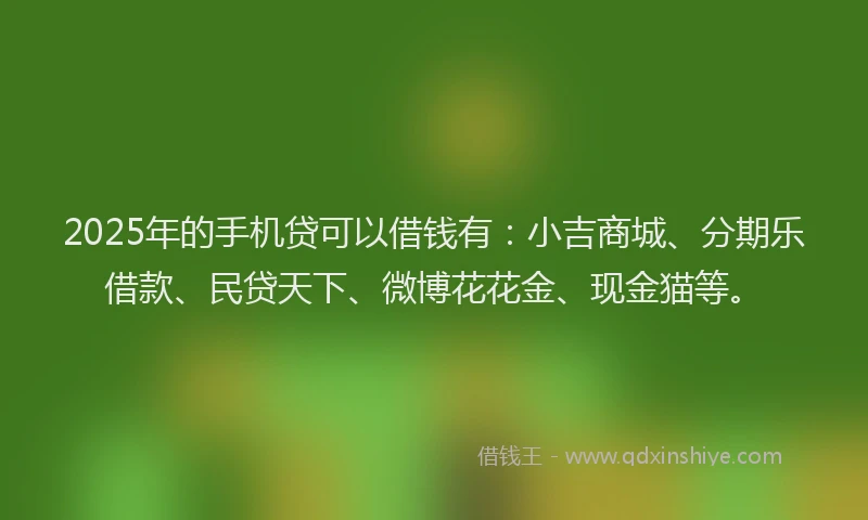 2025年的手机贷可以借钱有：小吉商城、分期乐借款、民贷天下、微博花花金、现金猫等。