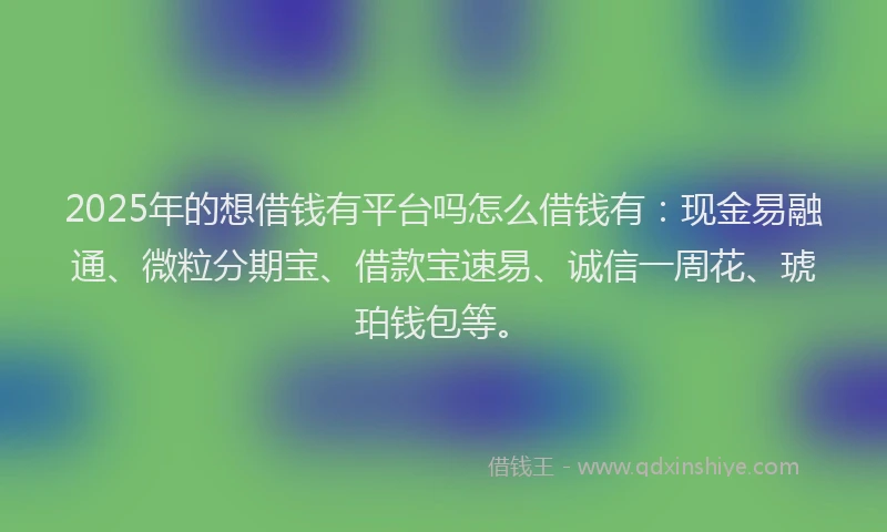 2025年的想借钱有平台吗怎么借钱有：现金易融通、微粒分期宝、借款宝速易、诚信一周花、琥珀钱包等。