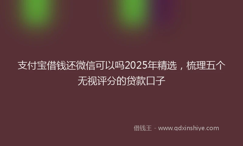 支付宝借钱还微信可以吗2025年精选，梳理五个无视评分的贷款口子