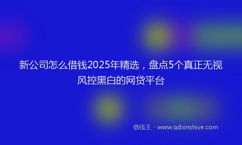 新公司怎么借钱2025年精选，盘点5个真正无视风控黑白的网贷平台