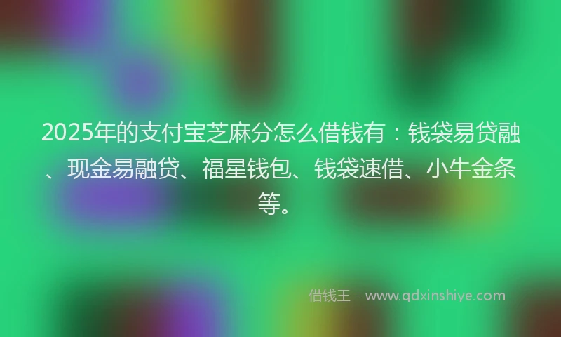 2025年的支付宝芝麻分怎么借钱有：钱袋易贷融、现金易融贷、福星钱包、钱袋速借、小牛金条等。