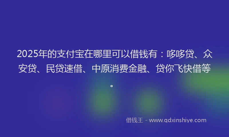 2025年的支付宝在哪里可以借钱有：哆哆贷、众安贷、民贷速借、中原消费金融、贷你飞快借等。