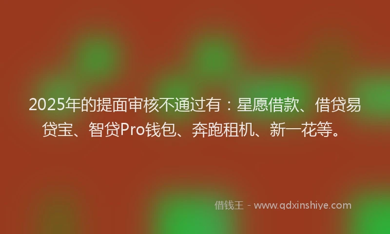 2025年的提面审核不通过有：星愿借款、借贷易贷宝、智贷Pro钱包、奔跑租机、新一花等。