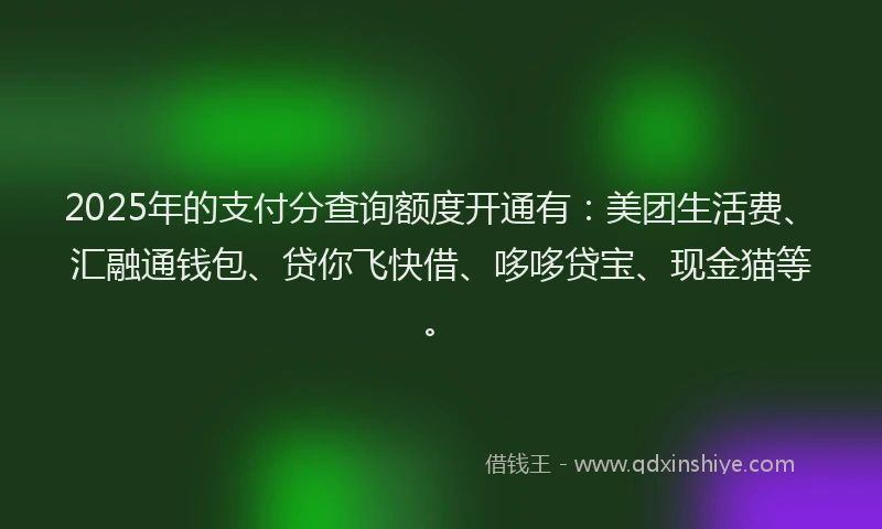 2025年的支付分查询额度开通有：美团生活费、汇融通钱包、贷你飞快借、哆哆贷宝、现金猫等。