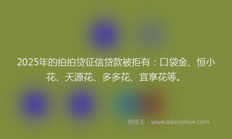 2025年的拍拍贷征信贷款被拒有：口袋金、恒小花、天源花、多多花、宜享花等。