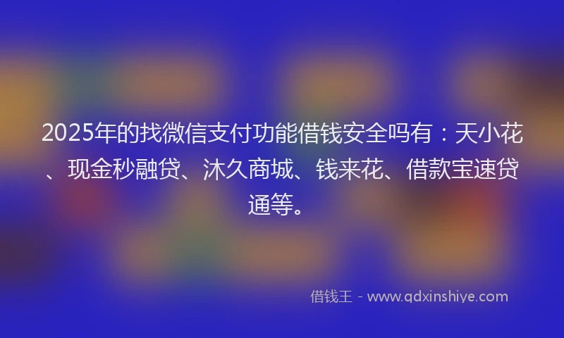 2025年的找微信支付功能借钱安全吗有：天小花、现金秒融贷、沐久商城、钱来花、借款宝速贷通等。