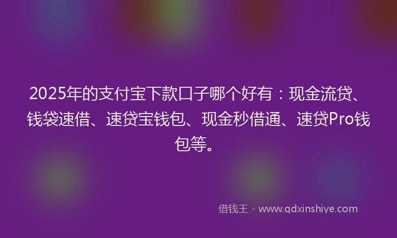 2025年的支付宝下款口子哪个好有：现金流贷、钱袋速借、速贷宝钱包、现金秒借通、速贷Pro钱包等。