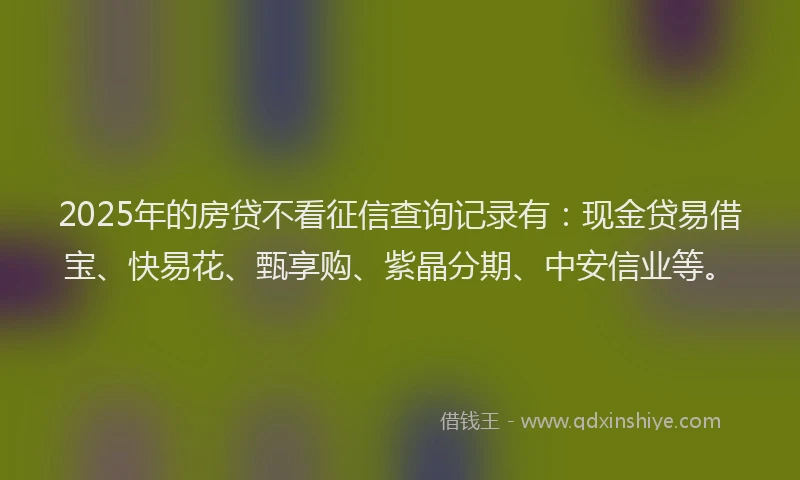 2025年的房贷不看征信查询记录有：现金贷易借宝、快易花、甄享购、紫晶分期、中安信业等。