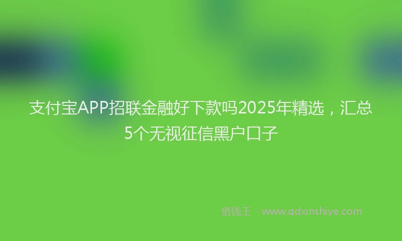 支付宝APP招联金融好下款吗2025年精选，汇总5个无视征信黑户口子