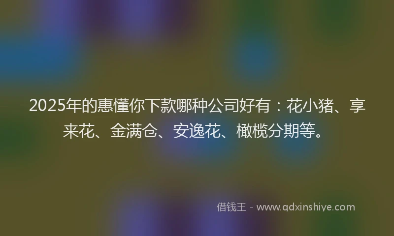 2025年的惠懂你下款哪种公司好有：花小猪、享来花、金满仓、安逸花、橄榄分期等。