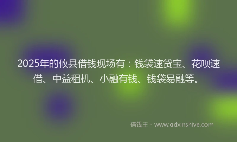 2025年的攸县借钱现场有：钱袋速贷宝、花呗速借、中益租机、小融有钱、钱袋易融等。