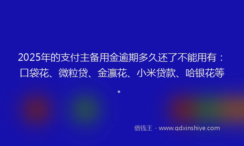 2025年的支付主备用金逾期多久还了不能用有：口袋花、微粒贷、金瀛花、小米贷款、哈银花等。