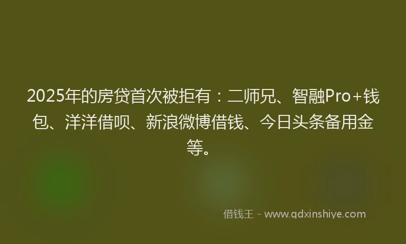 2025年的房贷首次被拒有：二师兄、智融Pro+钱包、洋洋借呗、新浪微博借钱、今日头条备用金等。
