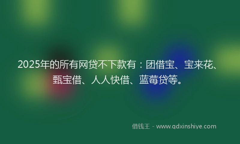2025年的所有网贷不下款有：团借宝、宝来花、甄宝借、人人快借、蓝莓贷等。