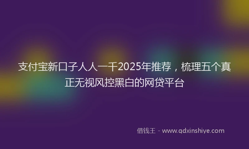 支付宝新口子人人一千2025年推荐，梳理五个真正无视风控黑白的网贷平台