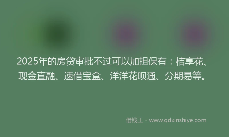 2025年的房贷审批不过可以加担保有：桔享花、现金直融、速借宝盒、洋洋花呗通、分期易等。