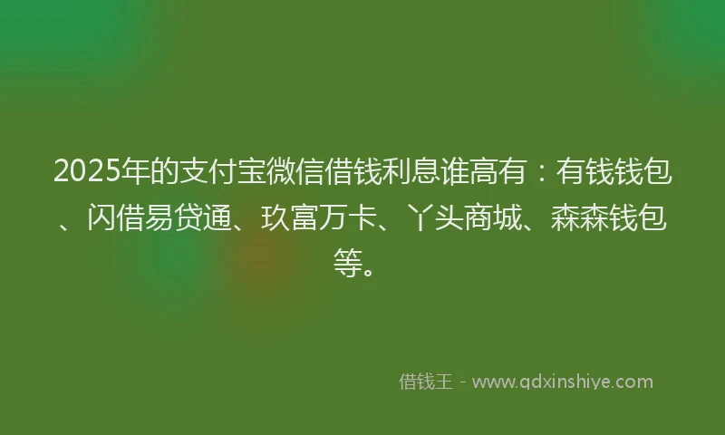 2025年的支付宝微信借钱利息谁高有：有钱钱包、闪借易贷通、玖富万卡、丫头商城、森森钱包等。
